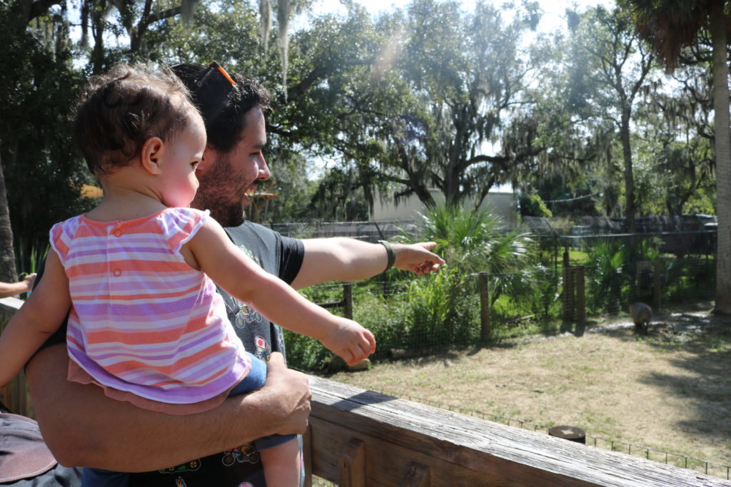 A man holding a baby and pointing to a zoo animal in the distance