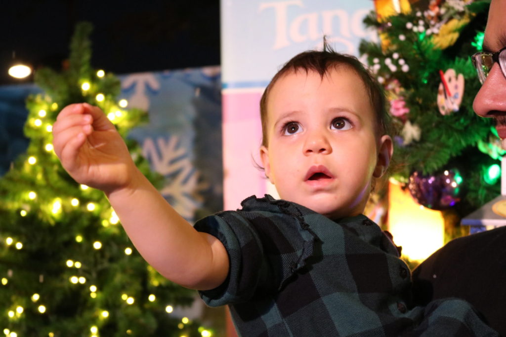A toddler surrounded by Christmas trees, pointing to something in the distance