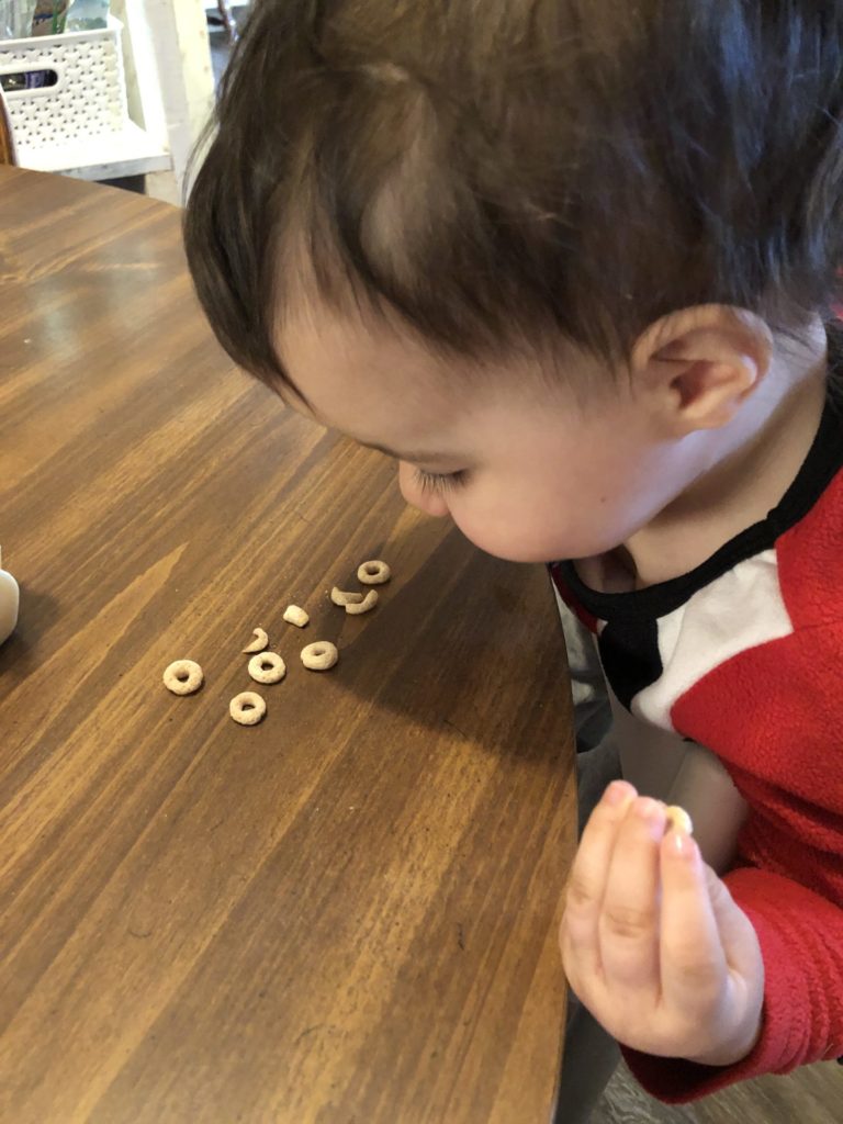 A toddler staring intently at Cheerios on a table