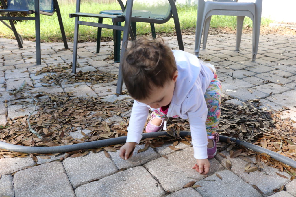 A toddler in a white jacket bending down to play with leaves on the ground