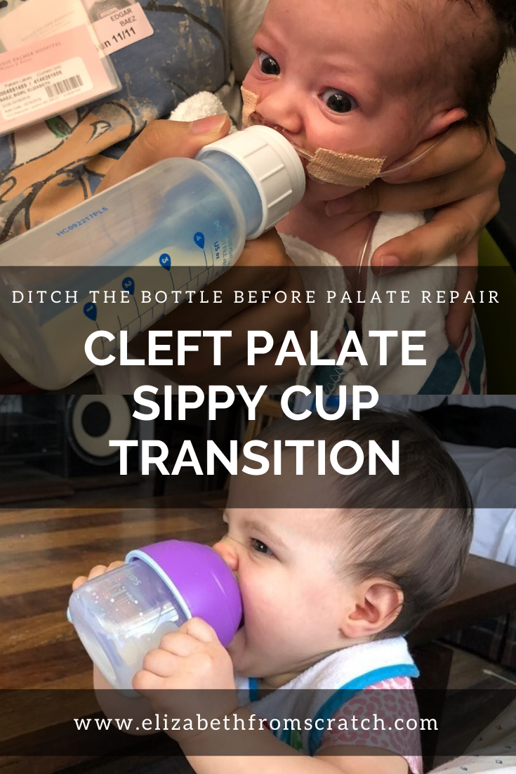 https://www.elizabethfromscratch.com/wp-content/uploads/2020/01/sippy-cup-graphic.png